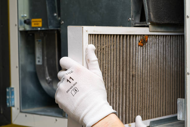 Best Ventilation Cleaning Services  in Pineland, TX