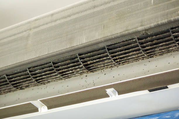 Best Residential Air Duct Cleaning  in Pineland, TX