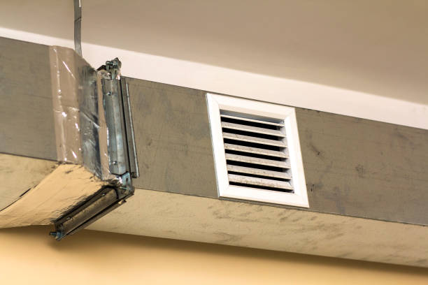 Best Air Duct Cleaning Near Me  in Pineland, TX