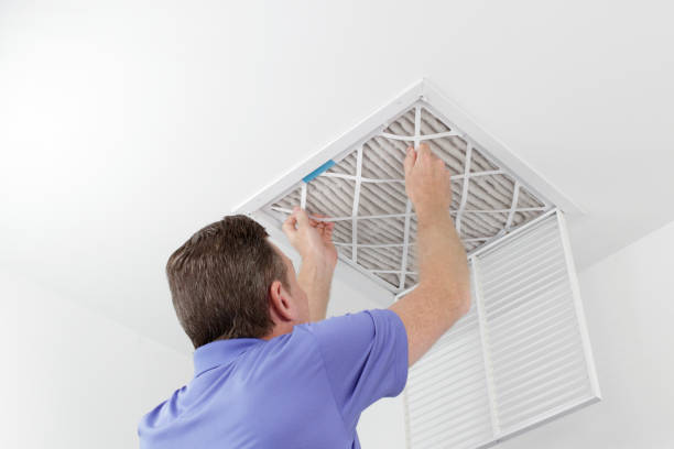 Best Air Duct Cleaning Near Me  in Pineland, TX